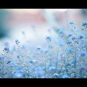 Meet your Posher, Lee